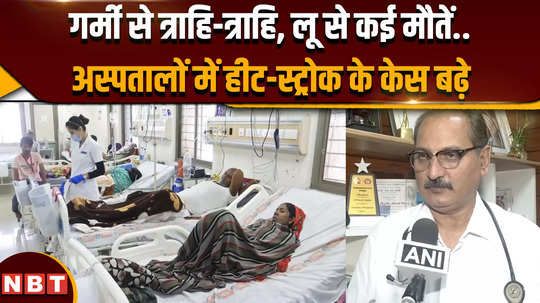many deaths due to heat wave heat stroke patients increased in hospitals what did the doctors said