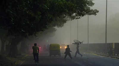 Air Pollution: वर्षभरात जगात ८१ लाख लोकांचा वायू प्रदूषणाने मृत्यू, भारताची आकडेवारी वाचून धक्का बसेल