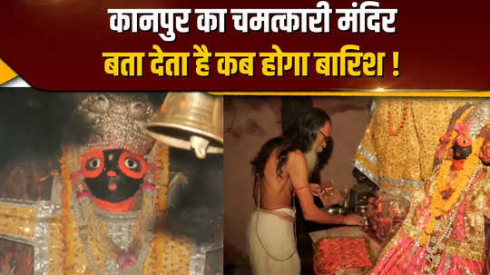 why is the marriage of a frog and a frog performed in kanpur