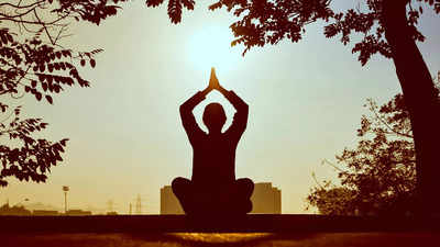 International Yoga Day 2024: যোগদিবস পালন করতে ভারতের এই আশ্রমগুলিকেই বেছে নেন বিদেশি পর্যটকরা