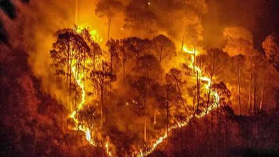 उत्तराखंड: अल्मोड़ा बिनसर अभ्यारण अग्निकांड में अज्ञात के खिलाफ केस दर्ज, 5 वनकर्मियों की अब तक हुई मौत