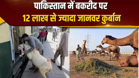 pakistan bakrid eid ul adha more than 12 lakhs animal sacrifice cow goat worth of million