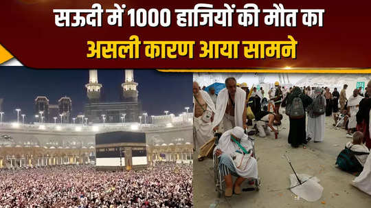 hajj pilgrims saudi arabia more than 1000 died due to heat stroke without permit