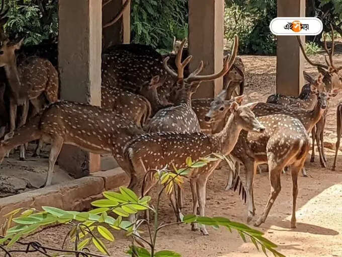 ballavpur santiniketan ballavpur santiniketan