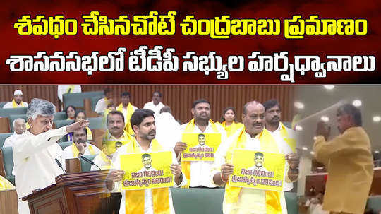 andhra pradesh chief minister chandrababu naidu will enter the assembly for the first time after his oath