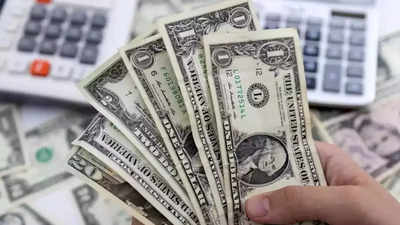 रेकॉर्ड हाई से नीचे लुढ़का विदेशी मुद्रा भंडार, 2.92  बिलियन डॉलर घटा, जानें बाजार पर पड़ेगा क्या असर