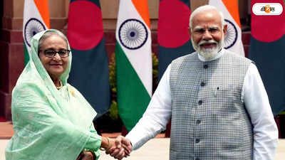 Narendra Modi-Sheikh Hasina: বাংলাদেশীদের জন্য ই-মেডিক্যাল ভিসা চালু হবে, দ্বিপাক্ষিক বৈঠকের পর ঘোষণা মোদীর