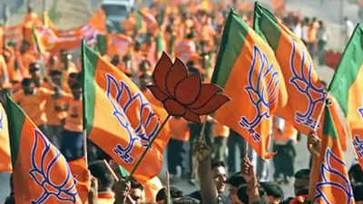 Jharkhand Politics: झारखंड विधानसभा चुनाव में BJP का बेड़ा पार होना मुश्किल! प्रदेश में खिसक चुकी सियासी जमीन, जानें पूरी बात