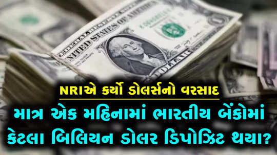 how many billion dollars did nris deposit in indian banks in just one month