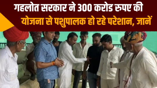 animal farmers are getting troubled by gehlot government rs 300 crore scheme know why