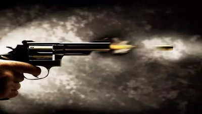 Arrah Murder: हथियारबंद बदमाशों ने घर पर चढ़कर मार दी गोली, वारदात से हर कोई हैरान