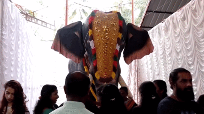 ​उत्सवों में नहीं होगी जीवित हाथी का यूज​