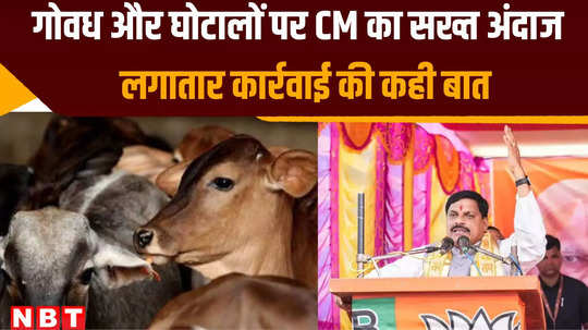 bhopal news more than 50 cows slaughter matter reached cm mohan yadav spoke on paper leak and cows strangle case