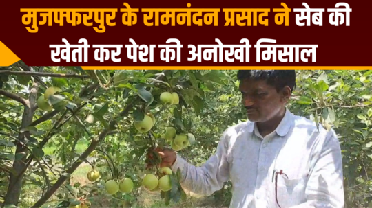 muzaffarpur farmer ramnandan prasad is earning lakhs by growing apples in scorching heat
