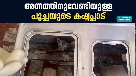cat stuck in stove hole in pathanamthitta