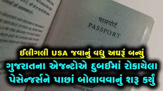 many gujaratis on their illegal journey to usa returned from dubai