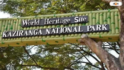 Kaziranga National Park : কাজিরাঙার জঙ্গল ঘেঁষে পাঁচতারা হোটেল? অসম পর্যটন বিভাগের ব্যাখ্যা চাইলেন বিশেষজ্ঞ