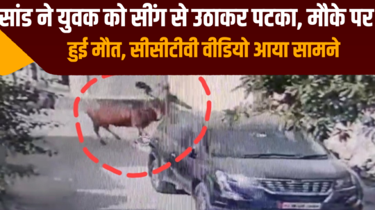 ajmer man dies in bull attack cctv video revealed
