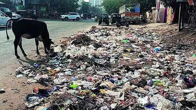 Bengaluru Garbage: ಕಸದ ನೆಪದಲ್ಲಿ ಕೋಟಿಗಟ್ಟಲೆ ಗುಡಿಸಿದ ಬಿಬಿಎಂಪಿ!