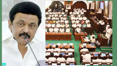 Live Tamil News today 25 June 2024 Tamilnadu Assembly : தமிழ்நாடு சட்டப் பேரவை: இன்று என்னென்ன அறிவிப்புகள் வெளியாகும்?