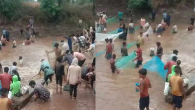 Khargone News: डेंगू से बचने दी थी मच्छरदानी, लोग बारिश के बाद मछली पकड़ने निकल गए, खरगोन का वीडियो वायरल