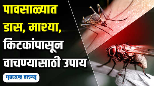 effective ways to get rid of mosquitoes this monsoon season
