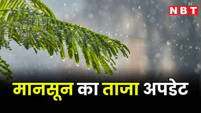 Rajasthan weather and monsoon update: राजस्थान के 8 जिलों में खुलकर बरसे बादल, जयपुर सहित आपके शहर में जानें कैसा रहेगा मानसून