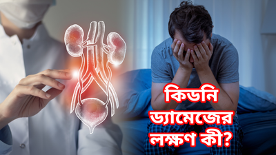 Damaged Kidneys Symptoms: সারাদিন ক্লান্ত, রাতে চোখে নেই ঘুম? কিডনির বারোটা বাজেনি তো?