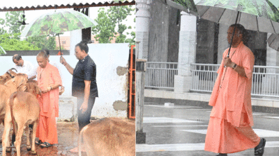 गोरखपुर में आ गया मॉनसून, झूमकर बरसे बदरा, CM योगी गोरखनाथ मंदिर में छाता लेकर आए नजर
