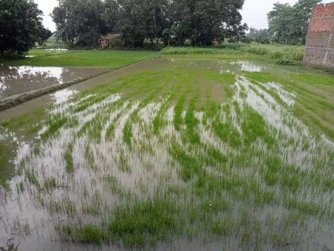 Bihar Rain