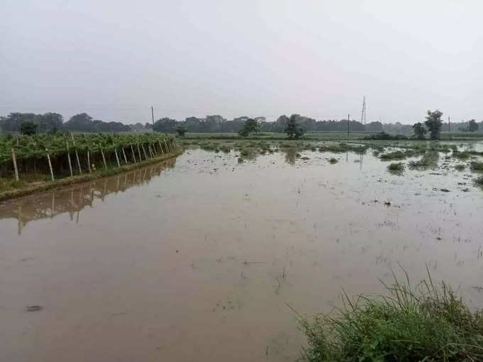 Bihar Rain 1