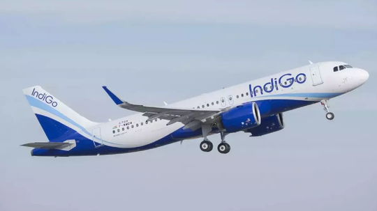 indigo flight 18 passenger left to airport