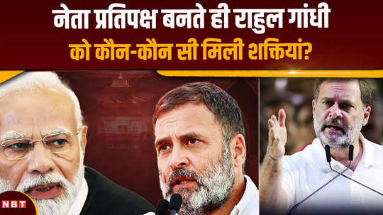 rahul gandhi who till now has found faults in the government system will himself become a part of the system as the leader of the opposition see what will be the powers