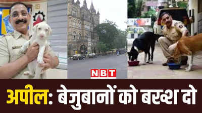 मुंबई में किसी ने कुत्ते-बिल्लियों को कुचला तो कोई मर्डर का सुपारी दे डाला! हैरान करने वाली घटनाएं