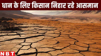 Bihar Monsoon Rain 2024: मॉनसून से मनाइए कि बरसे, नहीं तो किसान होगा परेशान और आपकी थाली के चावल के बढ़ जाएंगे भाव