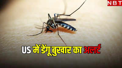 अमेरिका में डेंगू के रिकॉर्ड मामलों की ओर बढ़ता ग्राफ! CDC ने जारी किया अलर्ट, बताया कैसे करें बचाव