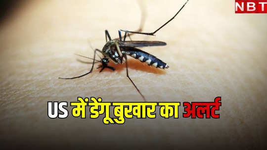 अमेरिका में डेंगू के रिकॉर्ड मामलों की ओर बढ़ता ग्राफ! CDC ने जारी किया अलर्ट, बताया कैसे करें बचाव