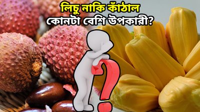 Lychee vs Jackfruit: কোনটা বেশি উপকারী, লিচু নাকি কাঁঠাল? উত্তর দিলেন বিশিষ্ট পুষ্টিবিদ