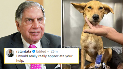 पैसे से नहीं, दिल से रिच हैं टाटा: रतन टाटा ने घायल कुत्ते के लिए जो किया वो जानकर लोग उनकी सादगी के फैन हो गए