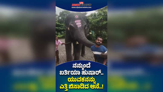 kukke subramanya was the elephant who picked up the young man who had come to take a photo