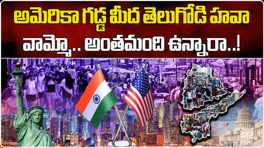 telugu speaking people jumps 4 fold in usa touches 12 lakh this year