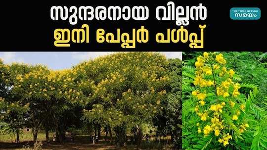 manjakkonna will be removed from kerala forests