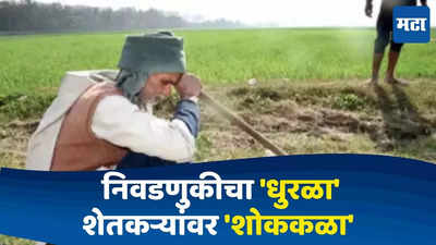 Maharashtra Farmer : इथे निवडणुकीचा धुरळा तिथे शेतकऱ्यांवर शोककळा, चार महिन्यात 838 शेतकऱ्यांनी आयुष्य संपवलं