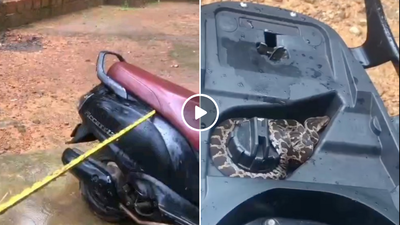 स्कूटी में ऐसे छिपा बैठा था कोबरा, गाड़ी चलाने से पहले हमेशा चेक करें ये जगह, नहीं तो जा सकती है जान