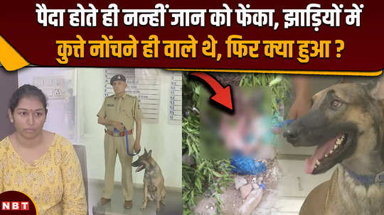 ahmedabad news when dog squad chaser found the mother of the newborn