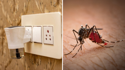 डेंगू-मलेरिया का सता रहा खतरा, मात्र 20 रुपये में घर पर ही बना लें मच्छर भगाने वाली रिफिल