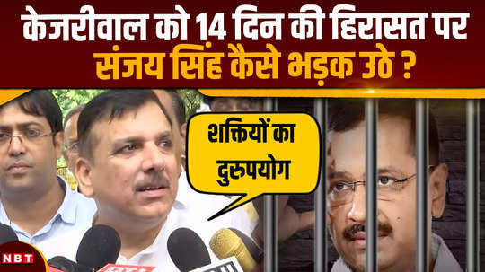 what did sanjay singh said on arvind kejriwal 14 days judicial custody