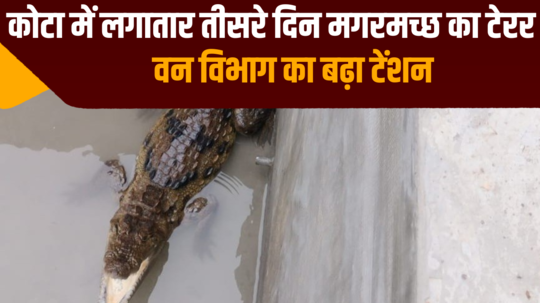 crocodile terror in kota for the third consecutive day tension of forest department increased