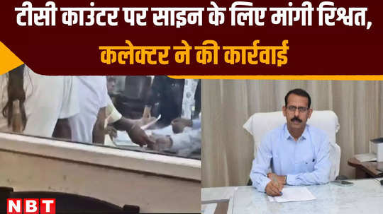 singrauli news collector suspended clerk vansh bahadur singh with immediate effect for taking bribe for countersigning tc