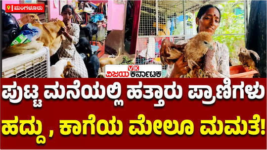 meet rajani damodar shetty who gives shelter and food for dogs animals and birds in mangaluru